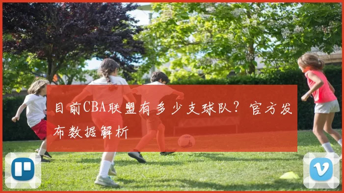 目前CBA联盟有多少支球队？官方发布数据解析