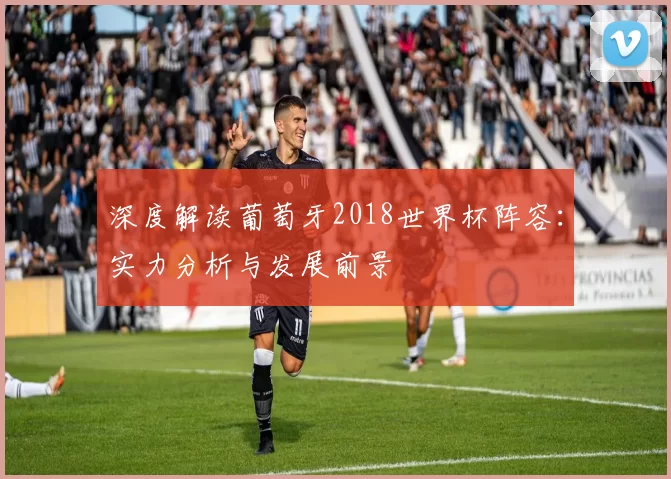 深度解读葡萄牙2018世界杯阵容:实力分析与发展前景