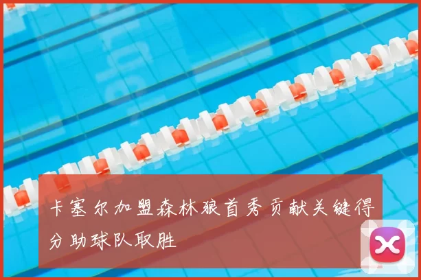 卡塞尔加盟森林狼首秀贡献关键得分助球队取胜