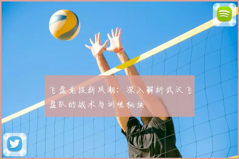 飞盘竞技新风潮：深入解析武汉飞盘队的战术与训练秘诀