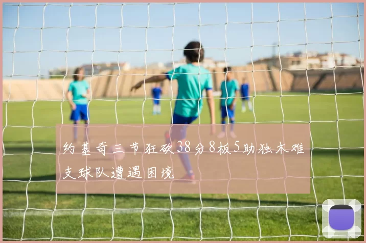 约基奇三节狂砍38分8板5助独木难支球队遭遇困境