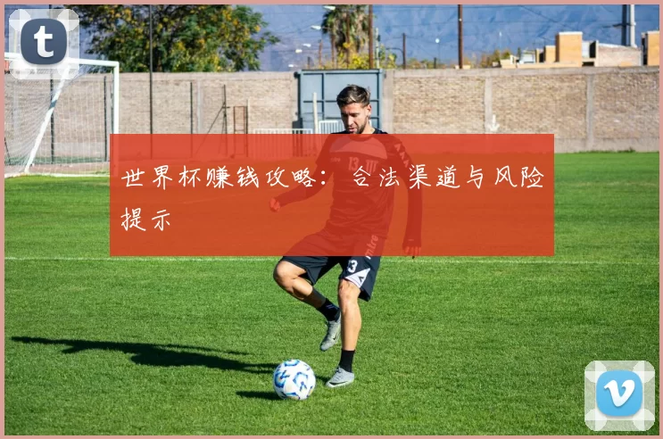 世界杯赚钱攻略：合法渠道与风险提示