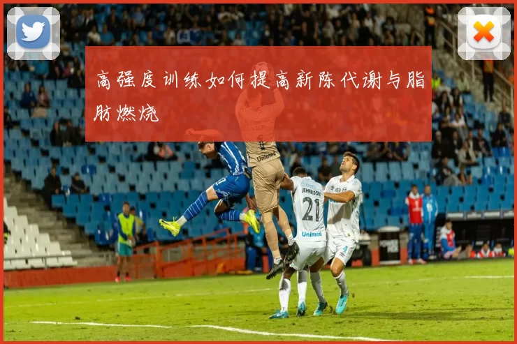 高强度训练如何提高新陈代谢与脂肪燃烧