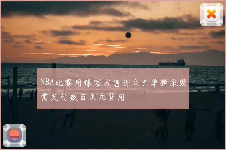NBA比赛用球官方售价公开单颗采购需支付数百美元费用