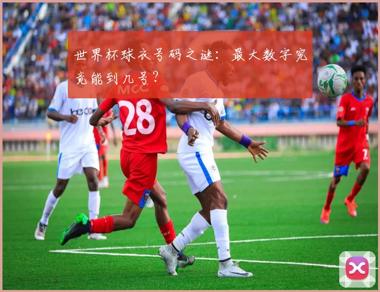 世界杯球衣号码之谜:最大数字究竟能到几号?
