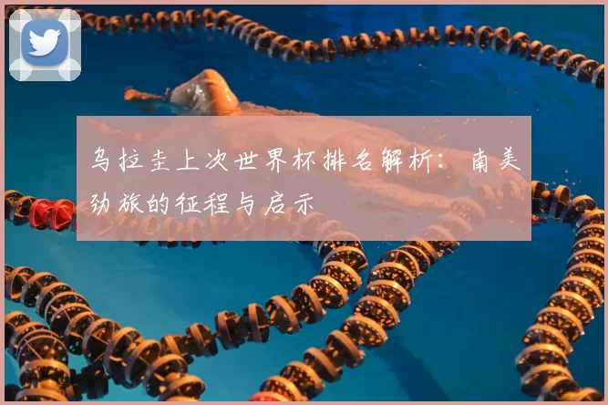 乌拉圭上次世界杯排名解析：南美劲旅的征程与启示