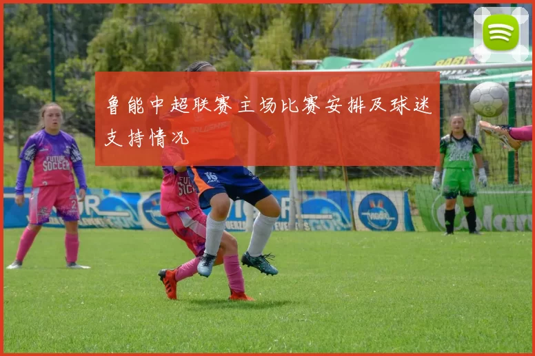 鲁能中超联赛主场比赛安排及球迷支持情况